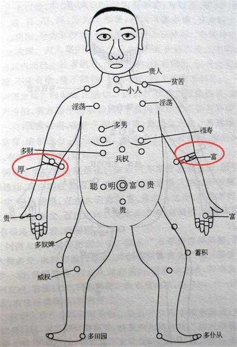 手臂有痣代表什麼|手臂有痣详解，左右手臂有痣解说